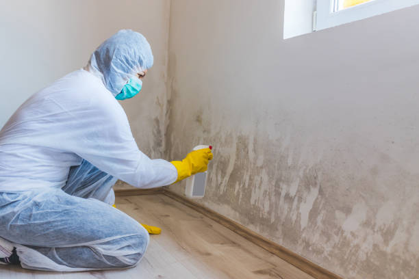 Licensed Commercial Mold Remediation service in Hampton, MN - WQB Mold Removal