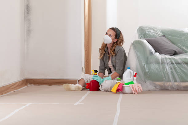Reliable Commercial Mold Remediation contractor in Hampton, MN by WQB Mold Removal